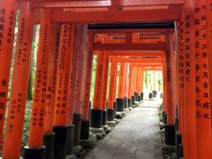 伏見稲荷大社の写真1
