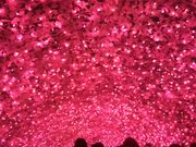 セバさんのなばなの里の投稿写真1