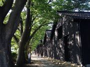 オレンジさんの山居倉庫の投稿写真1