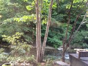 くま(^^)さんの湯宿だいいちの投稿写真1