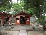 雷雷クーンさんの巳さんの御神木の投稿写真1