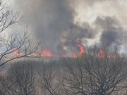 るるたさんの渡良瀬遊水地の投稿写真1