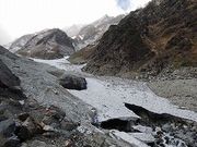 晴泰さんの白馬大雪渓遊歩道の投稿写真1