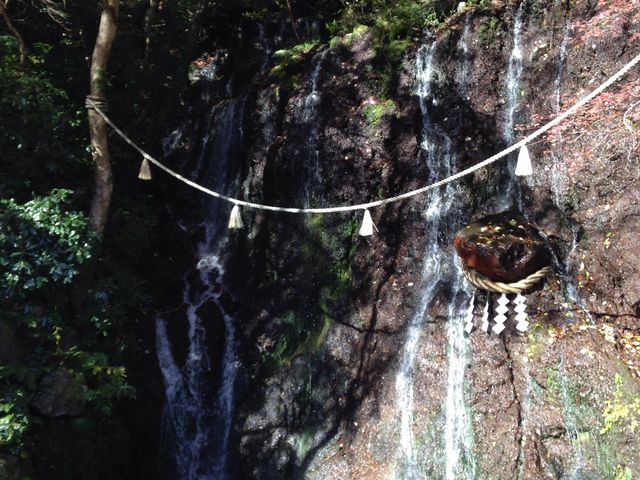 玉簾の滝