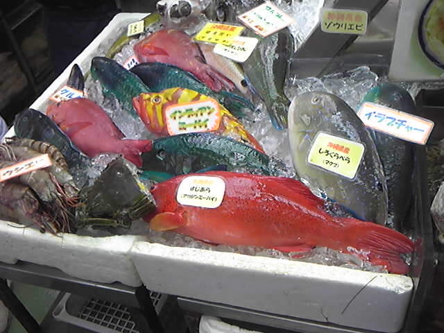 色とりどりの魚が並んでいます。_第一牧志公設市場