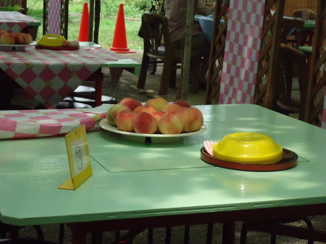 おかわり自由の食べ放題_御坂農園グレープハウス