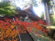 どせいさんさんの明通寺の投稿写真2