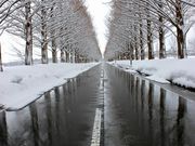 ルパン7777777さんの高島市マキノ農業公園マキノピックランドの投稿写真5