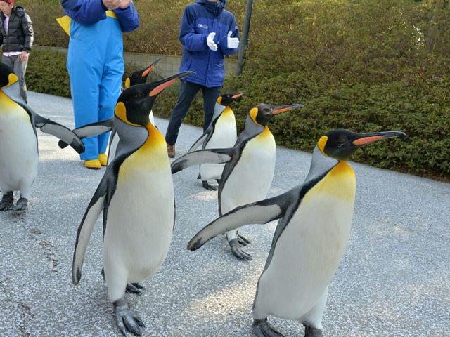 島根県立しまね海洋館(アクアス)
