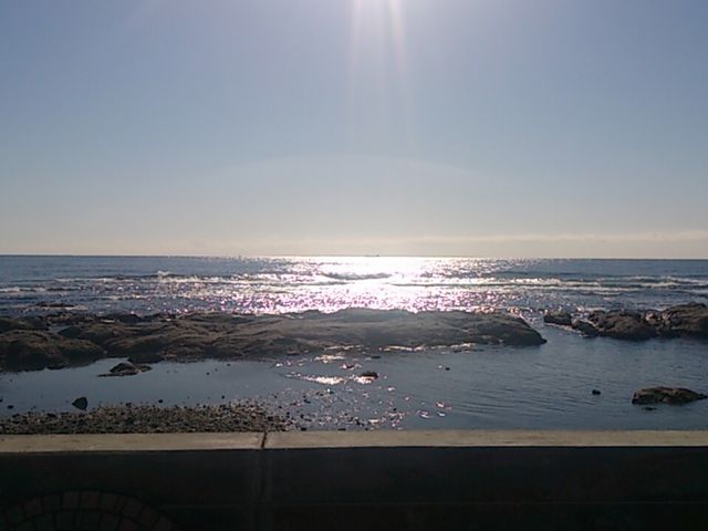 行って良かったです。_野島崎