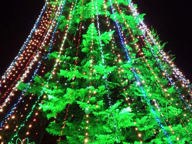 トロッコに乗って行くと下から見上げる事ができます。_宮ヶ瀬ダム