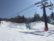 かわくじらさんの会津高原南郷スキー場の投稿写真1