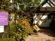 ピーナッツさんのぶどうの木 金沢の投稿写真1