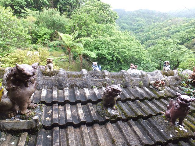 2階席には目の前にシーサー達が_やちむん喫茶シーサー園