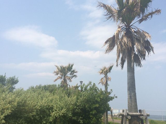 都心から近いのに、南国のプライベートビーチのようです。_歌舞島公園