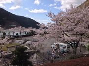 なべ太郎さんの阿木川ダム湖の投稿写真2