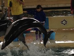 のとじま水族館の写真1