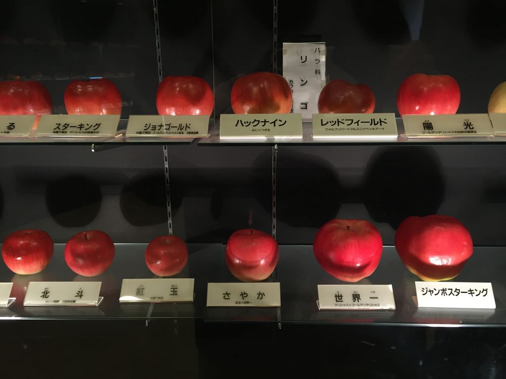 東谷山フルーツパーク