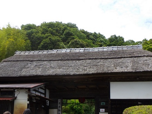 reinさんの茂原牡丹園の投稿写真2