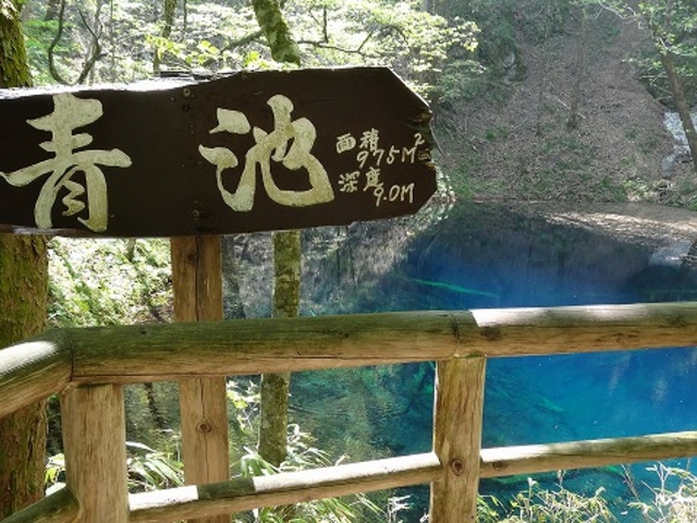素晴らしい青池_十二湖