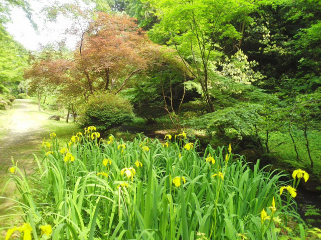 赤坂山公園