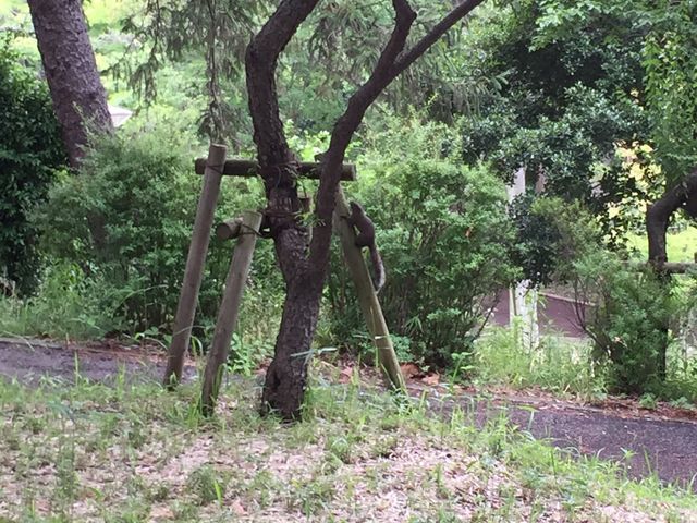 保土ヶ谷公園