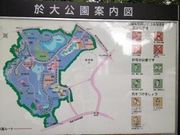ホンコーンさんの於大公園の投稿写真1