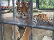 kin6292さんの京都市動物園の投稿写真1