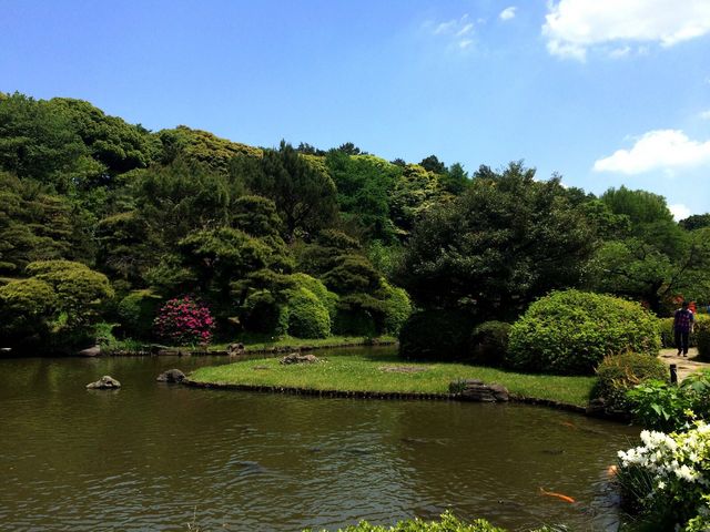 小石川植物園