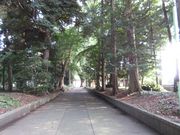 50代のスノーボードおじさんさんの五社神社の投稿写真4