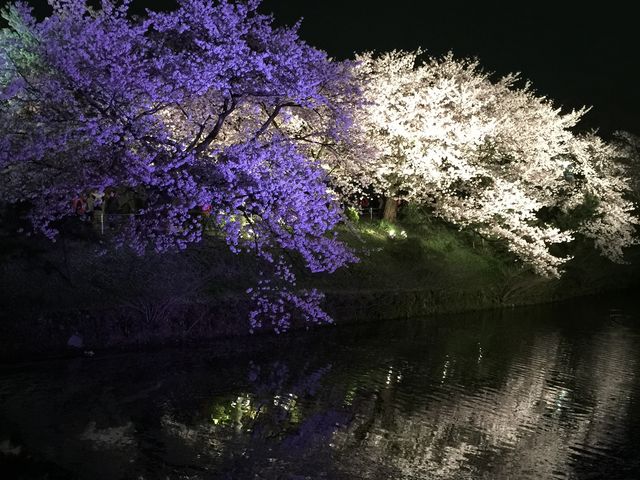 福岡城跡