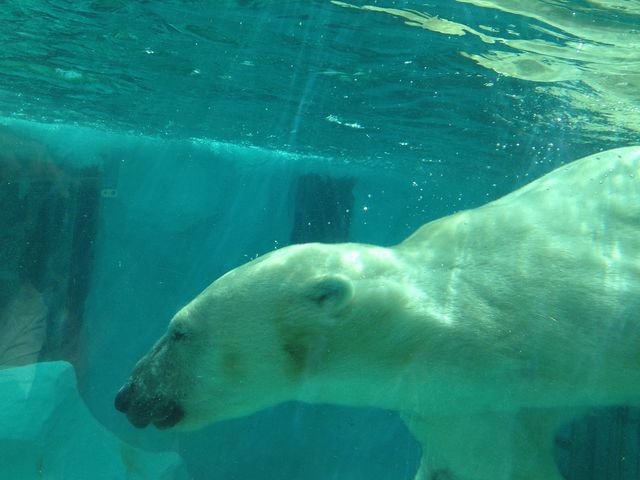 上野動物園