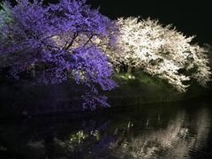 福岡城跡の写真1