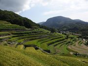 FSさんの湯船の水と千枚田の投稿写真1