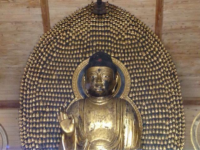 ショウママさんの願成寺の投稿写真1