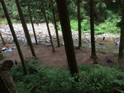 びびちゃんさんの八曽モミの木キャンプ場の投稿写真2