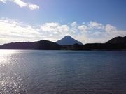 kingtutさんの指宿市の菜の花畑の投稿写真2