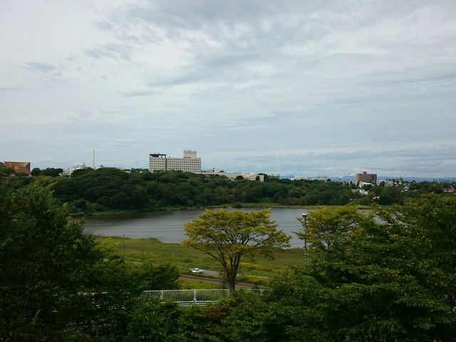 六花亭 春採店
