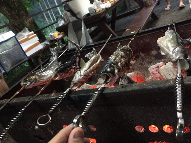 虹鱒が掴み取り出来ます_百軒茶屋キャンプ場