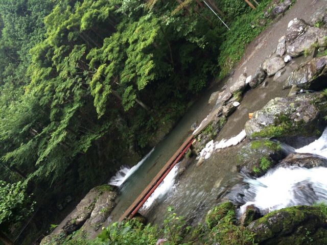 橋を渡った左側がバンガロー, 右側は山の下のBBQ広場になっています。_百軒茶屋キャンプ場