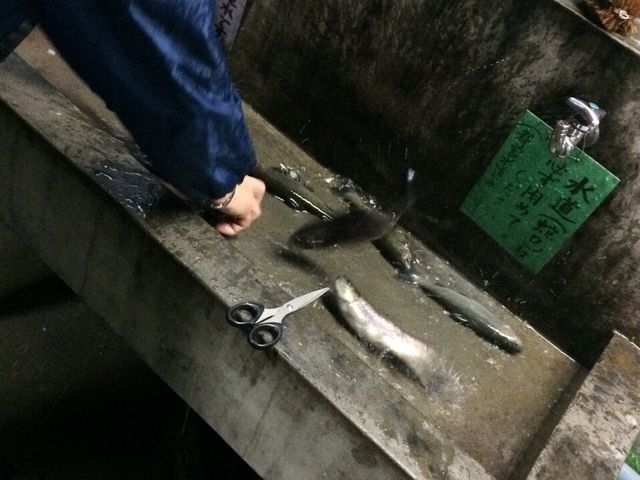 オーナーはとても優しく、キャンプ初の私達に対してもとても丁寧に教えてくれました。
_百軒茶屋キャンプ場