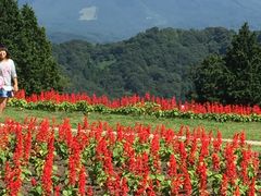 とっとり花回廊の写真1