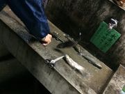 とみさんの百軒茶屋キャンプ場の投稿写真4