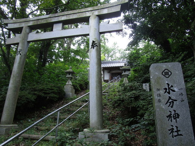 神社参道_一峰寺公園