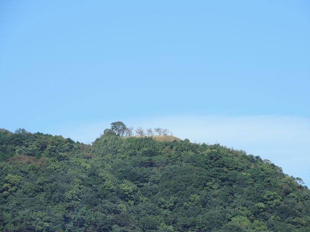 大宰府政庁から見上げる大野城_大野城跡