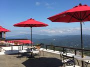 YUKIさんのカフェテラスの投稿写真1