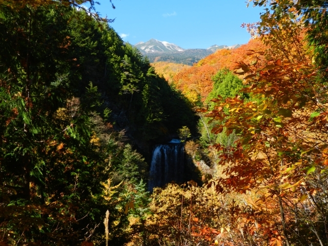 善五郎の滝
