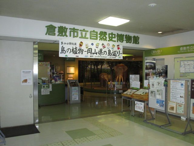 展示室_倉敷市立自然史博物館