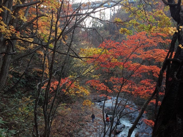 紅葉と橋_中津川渓谷