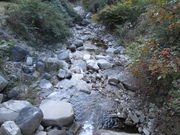 いわぴいさんの南原峡キャンプ場の投稿写真4